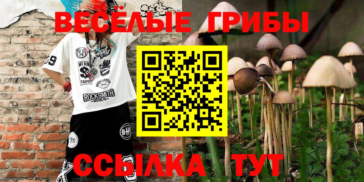 Псилоцибиновые грибы MAGIC MUSHROOMS  Галлюциногенные грибы мухоморы  Вязьма  Вход с VPN 